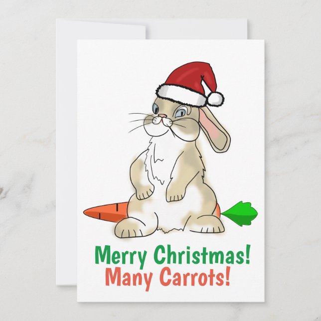 Cartes Pour Fêtes Annuelles Funny Bunny Joyeux Noël (Devant)