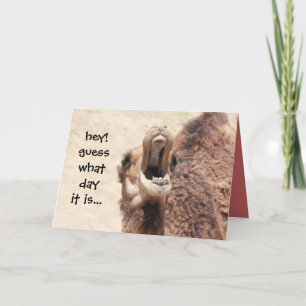 Cartes Pour Fêtes Annuelles Funny Camel Hump Day Easter Card