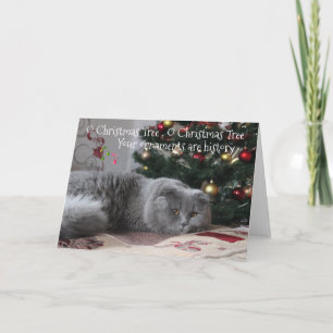 Cartes Pour Fêtes Annuelles Funny Cat Noël Ornements sont histoire
