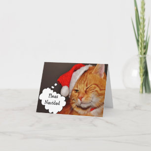 Cartes Pour Fêtes Annuelles Funny Chat Fleas Navidad