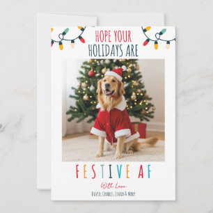 Cartes Pour Fêtes Annuelles Funny Chien chat animal de compagnie photo Noël Fe