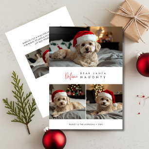 Cartes Pour Fêtes Annuelles Funny Chien Photo Définir Naughty Noël Salutations