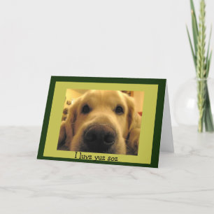 Cartes Pour Fêtes Annuelles Funny Chien Valentines