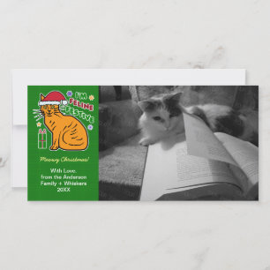 Cartes Pour Fêtes Annuelles Funny Christmas Cat Feline Festive Pun Pet Cards