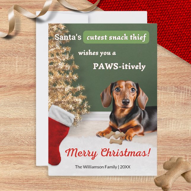 Cartes Pour Fêtes Annuelles Funny Dachshund Chien Snack Voleur Noël (A funny Christmas card with picture of a cute dachshund, wishing a 'Paws-itively Merry Christmas')