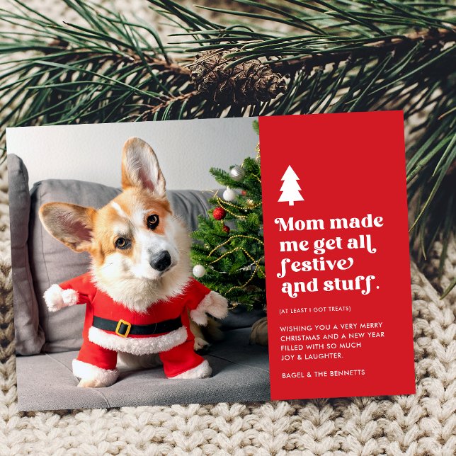 Cartes Pour Fêtes Annuelles Funny Festive Animal de compagnie photo Noël (Créateur téléchargé)