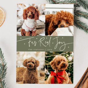 Cartes Pour Fêtes Annuelles Funny Fur Real Joy Chien Photo Sage Vert Noël
