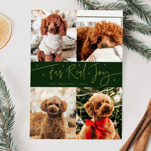 Cartes Pour Fêtes Annuelles Funny Fur Real Joy Chien Photo Vert Noël