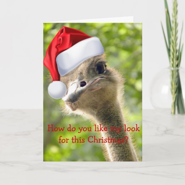 Cartes Pour Fêtes Annuelles ©Funny Look Ostrich Père Noël Custom Holiday Card (Devant)