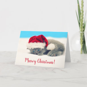 Cartes Pour Fêtes Annuelles Funny Meowy Christmas Kitten Card