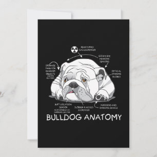 Cartes Pour Fêtes Annuelles Funny mignon Français Bulldog Anatomie Biologie du