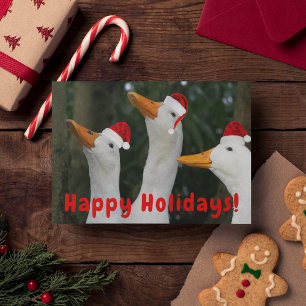 Cartes Pour Fêtes Annuelles Funny Père Noël Ducks Photo Noël