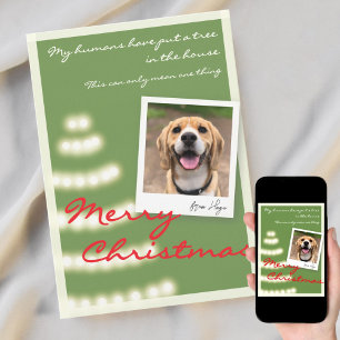 Cartes Pour Fêtes Annuelles Funny Pet Noël Photo Appartement de vacances