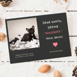 Cartes Pour Fêtes Annuelles Funny Pet Photo Noël | Définir la coquine