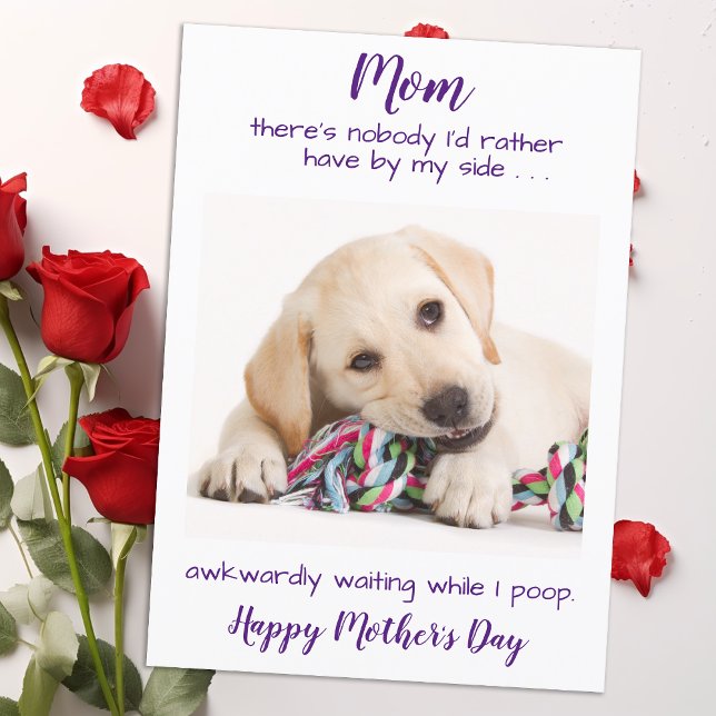 Cartes Pour Fêtes Annuelles Funny Pet Photo Personnalisé Chien Maman Fête des  (Créateur téléchargé)