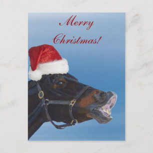 Cartes Pour Fêtes Annuelles Funny Pony Merry