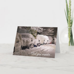 Cartes Pour Fêtes Annuelles Funny Snowbird Christmas Card