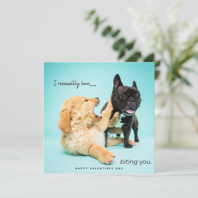 Cartes Pour Fêtes Annuelles Funny Valentines Day Card - Chien Valentines Card (Debout devant)
