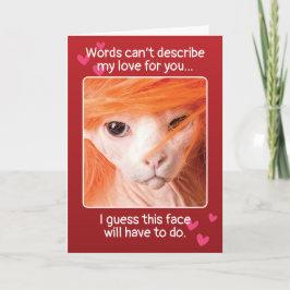Cartes Pour Fêtes Annuelles Funny Valentines Jour Sexy Chat