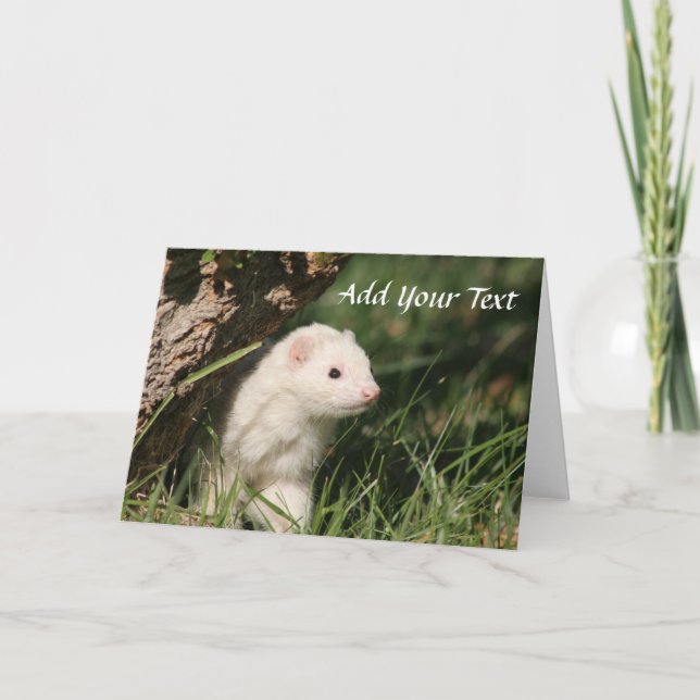 Cartes Pour Fêtes Annuelles Fur Babies. Les furets blancs (Devant)