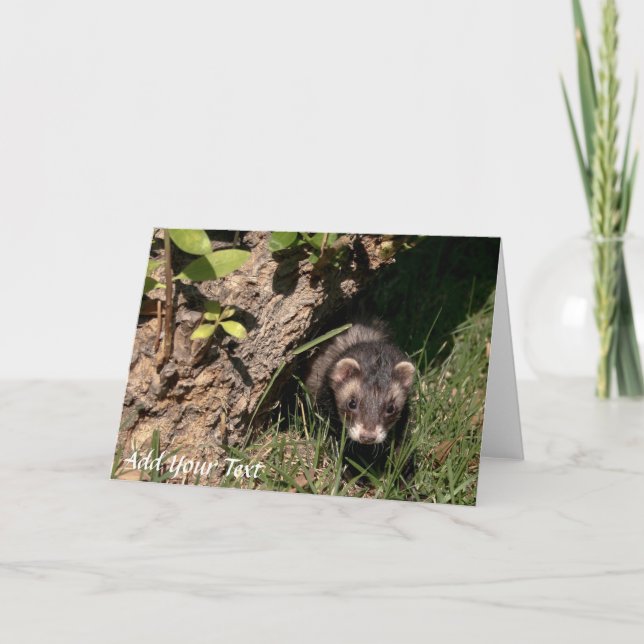 Cartes Pour Fêtes Annuelles Fur Babies. Sable Ferrets (Devant)