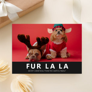 Cartes Pour Fêtes Annuelles Fur La Black Modern Pet Photo de Noël