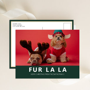 Cartes Pour Fêtes Annuelles Fur La La Green Modern Animal Photo de Noël