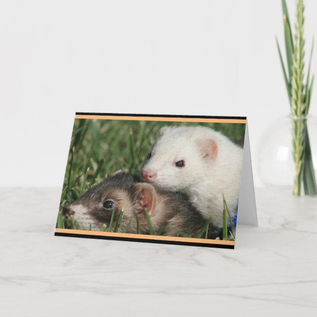 Cartes Pour Fêtes Annuelles Furets amis sable et blanc (Devant)