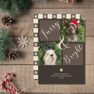 Cartes Pour Fêtes Annuelles Furie Et Brown 2 Photo Chien