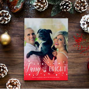 Cartes Pour Fêtes Annuelles Furry & Bright - Photo de Noël pour animaux domest
