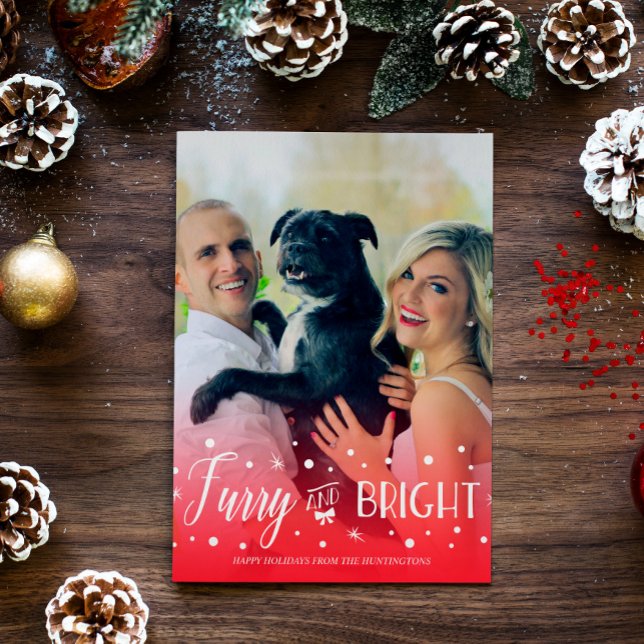 Cartes Pour Fêtes Annuelles Furry & Bright - Photo de Noël pour animaux domest (Créateur téléchargé)