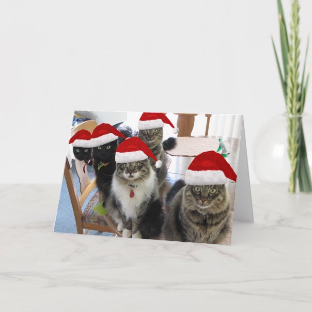 Cartes Pour Fêtes Annuelles Gang Joyeux voeux de Noël (Devant)