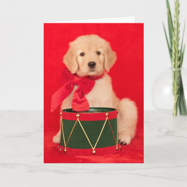 Cartes Pour Fêtes Annuelles Garçon de batteur de chiot de golden retriever (Devant)