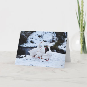 Cartes Pour Fêtes Annuelles Geese en hiver