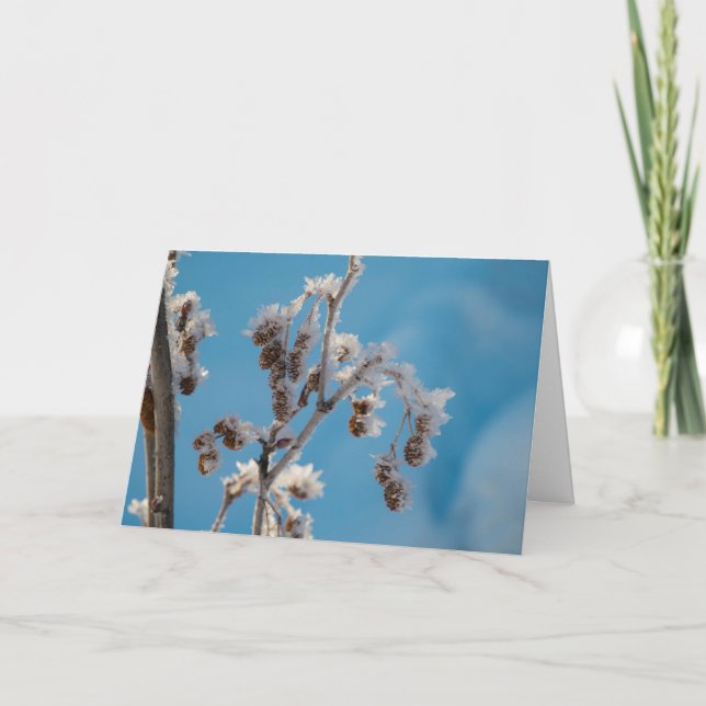 Cartes Pour Fêtes Annuelles Gel d'hiver (Devant)