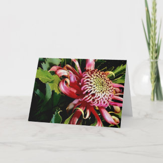 Cartes Pour Fêtes Annuelles géraldton rouge