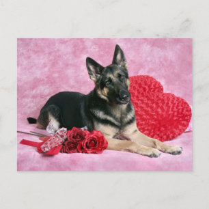 Cartes Pour Fêtes Annuelles German Shepherd Valentine