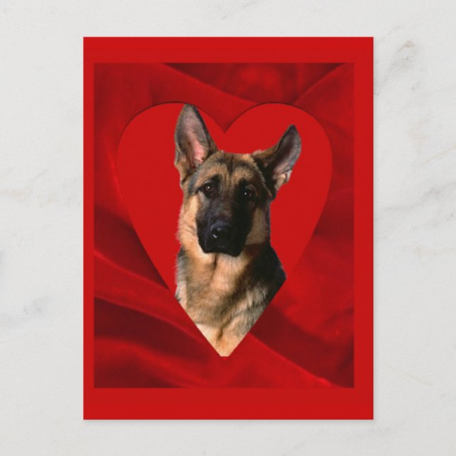 Cartes Pour Fêtes Annuelles German Shepherd Valentine (Devant)