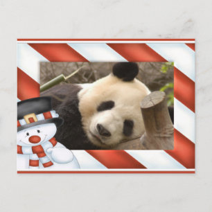 Cartes Pour Fêtes Annuelles Giant Panda Bear & Baby Panda Christmas Card