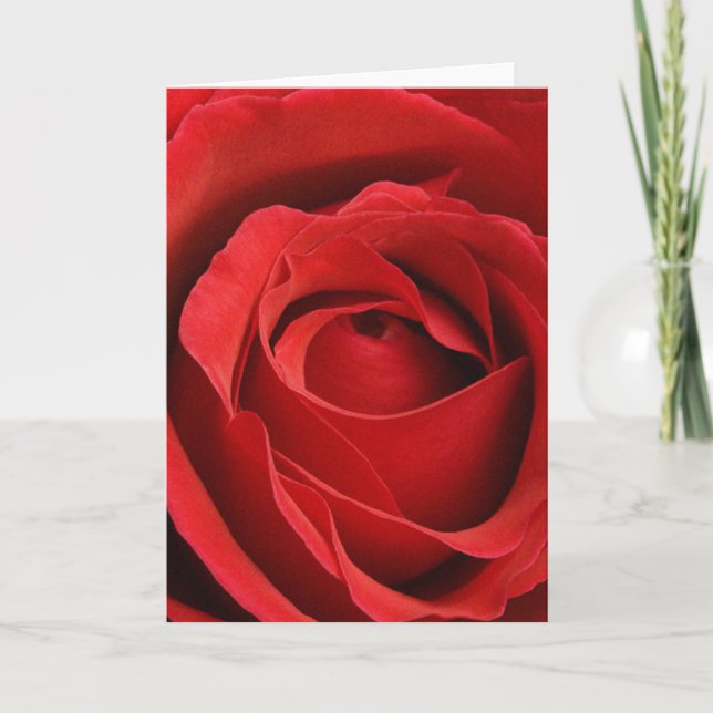 Cartes Pour Fêtes Annuelles Giant Rose Romantic Valentine (Devant)