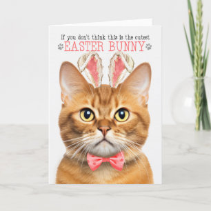 Cartes Pour Fêtes Annuelles Gingby Tabby Lapin Chat Oreilles pour Pâques