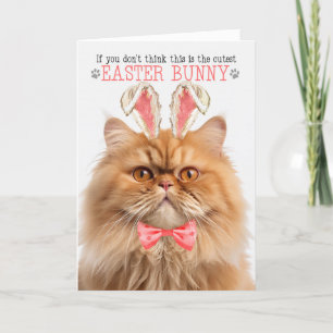Cartes Pour Fêtes Annuelles Ginger Peret Chat Cutest Bunny Bunny Kitty Puns
