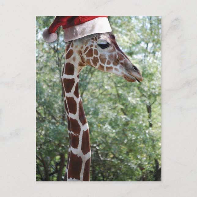 Cartes Pour Fêtes Annuelles Girafe de Noël avec chapeau de Noël (Devant)