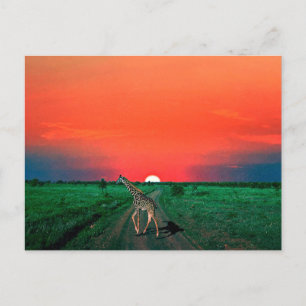 Cartes Pour Fêtes Annuelles Girafe en Serengeti - Coucher de soleil