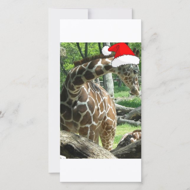 Cartes Pour Fêtes Annuelles Giraffe de Noël (Devant)