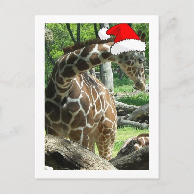 Cartes Pour Fêtes Annuelles Giraffe de Noël (Devant)