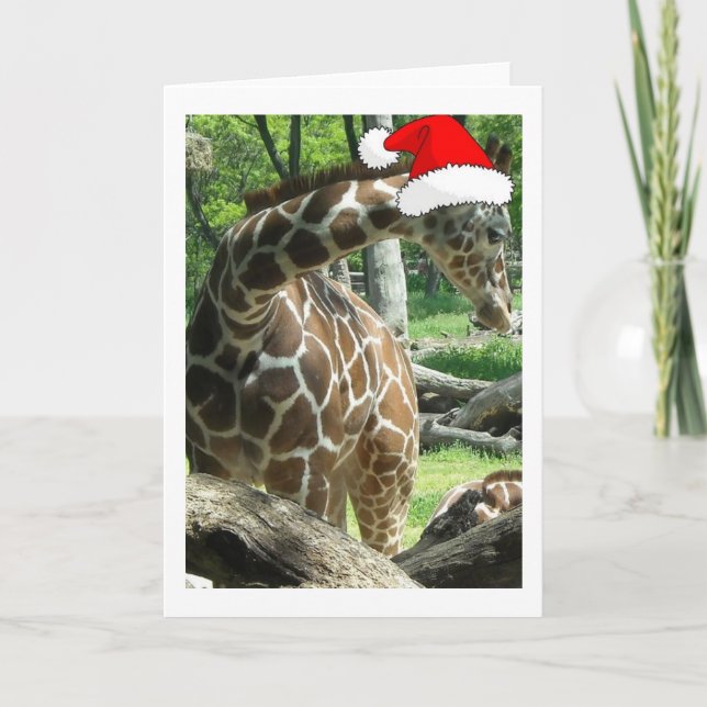 Cartes Pour Fêtes Annuelles Giraffe de Noël (Devant)