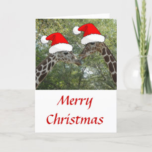 Cartes Pour Fêtes Annuelles Giraffes de Noël