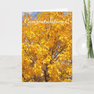 Cartes Pour Fêtes Annuelles Gloire jaune d'automne