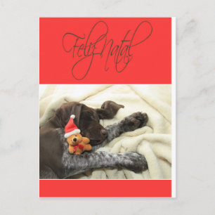 Cartes Pour Fêtes Annuelles Glossy Grizzly Christmas Feliz Natal